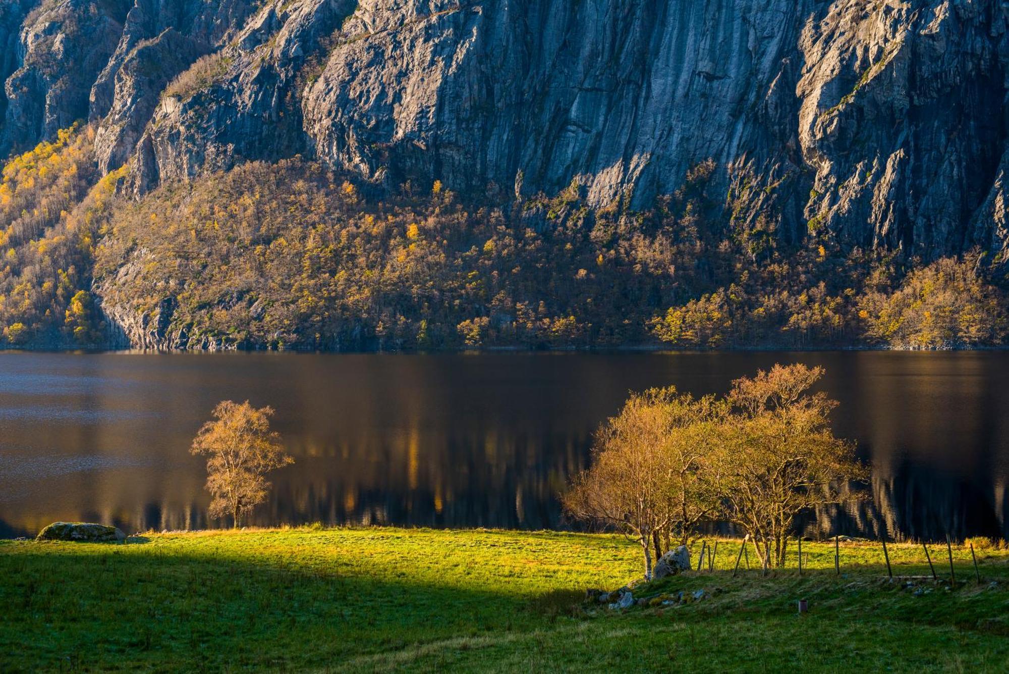 Hytte Ved Preikestolen Forsand 外观 照片