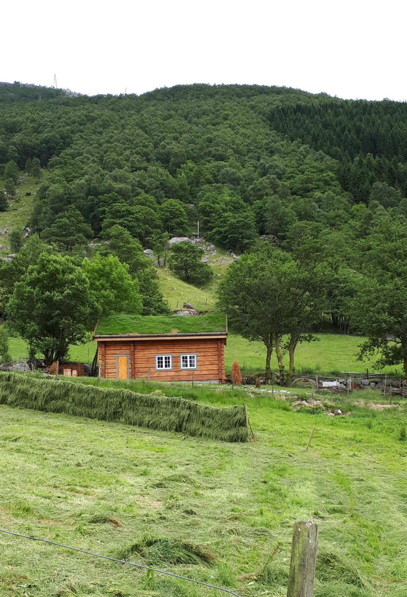 Hytte Ved Preikestolen Forsand 外观 照片