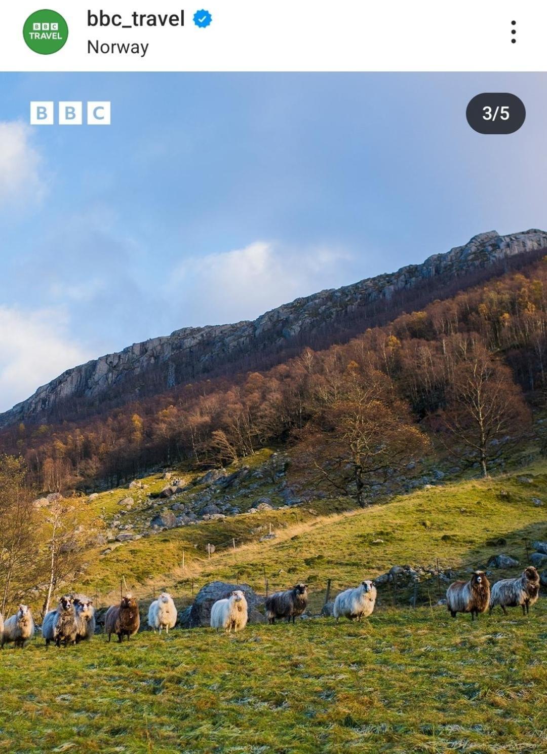 Hytte Ved Preikestolen Forsand 外观 照片