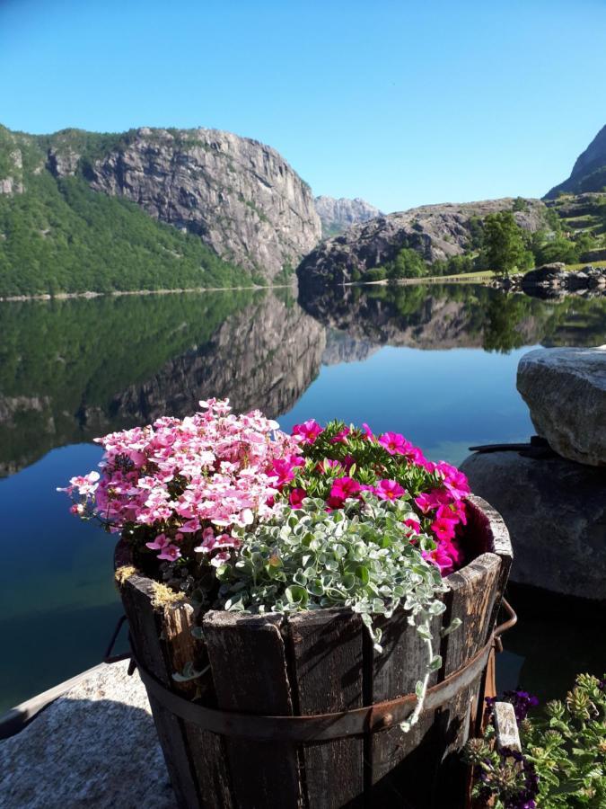 Hytte Ved Preikestolen Forsand 外观 照片